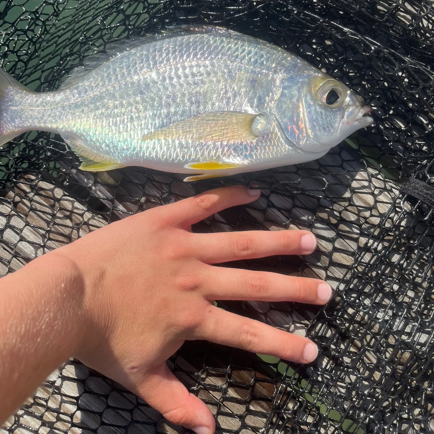 most liked catch image
