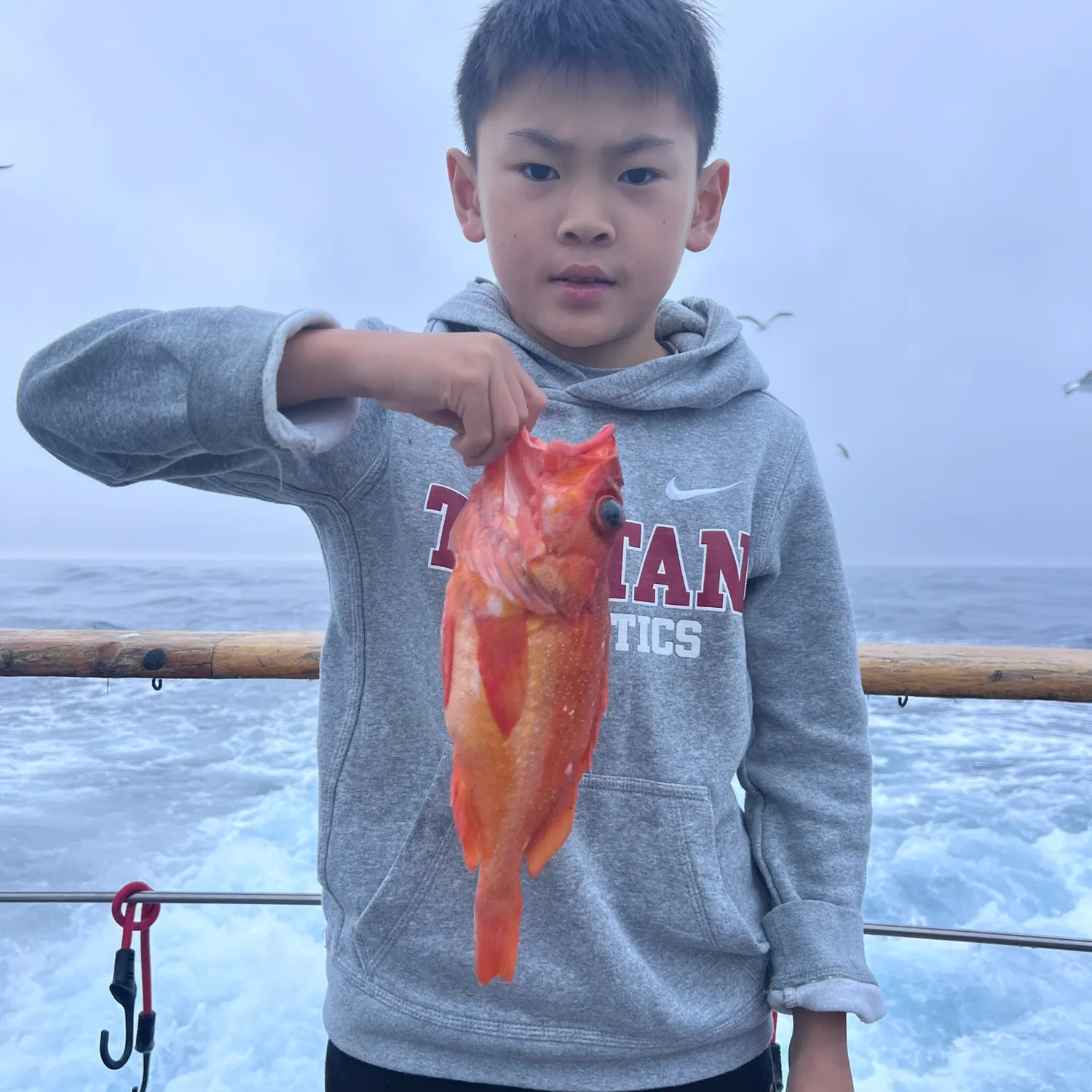 The most popular recent Green blotched rockfish catch on Fishbrain