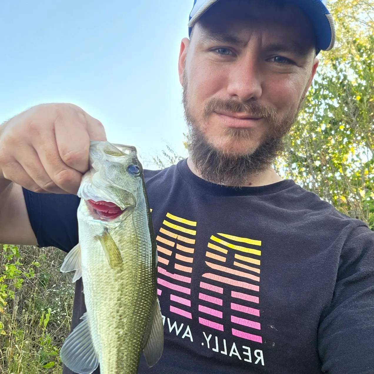 Largemouth bass caught on Fishbrain
