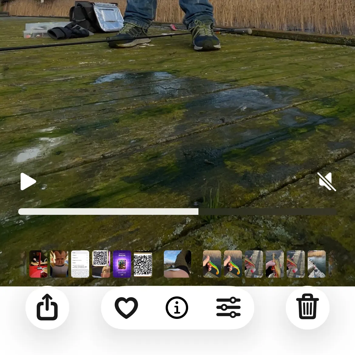 recently logged catches