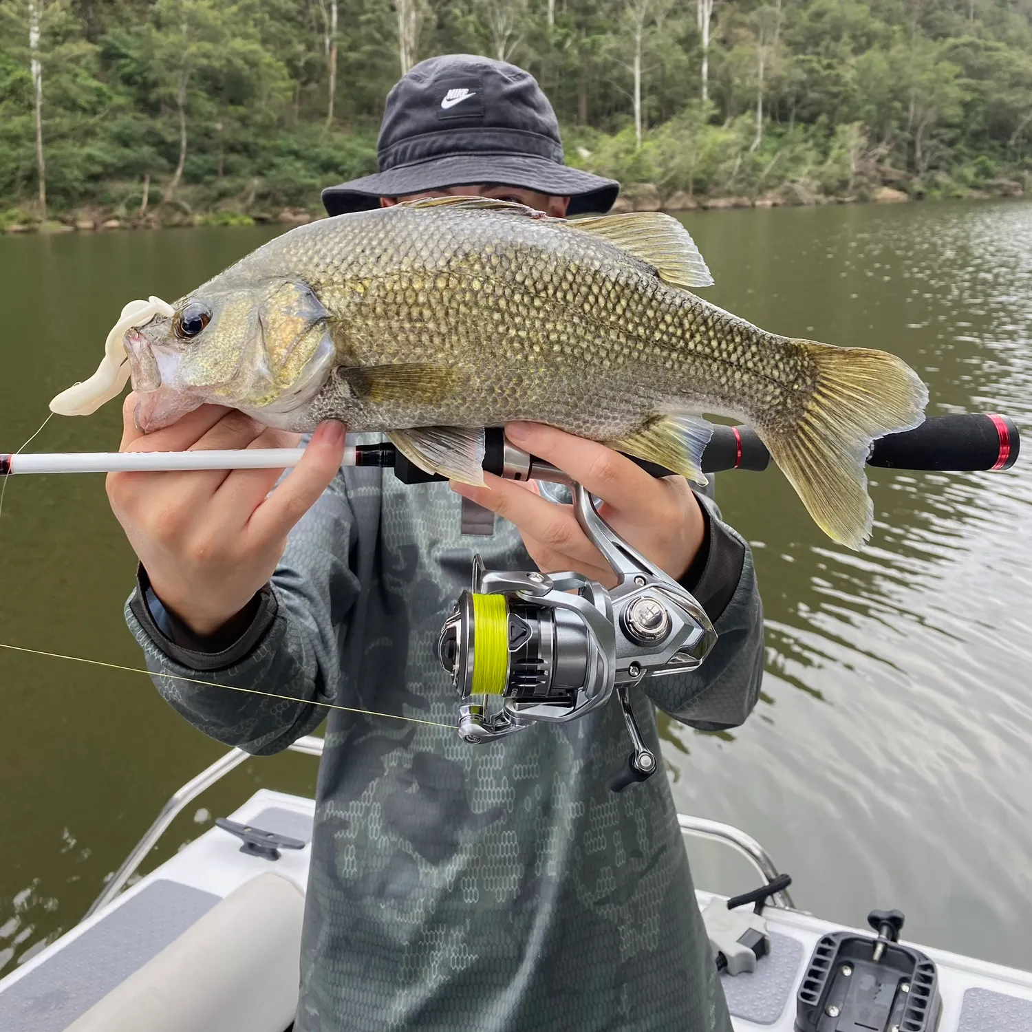 The most recent Australian bass catches on Fishbrain