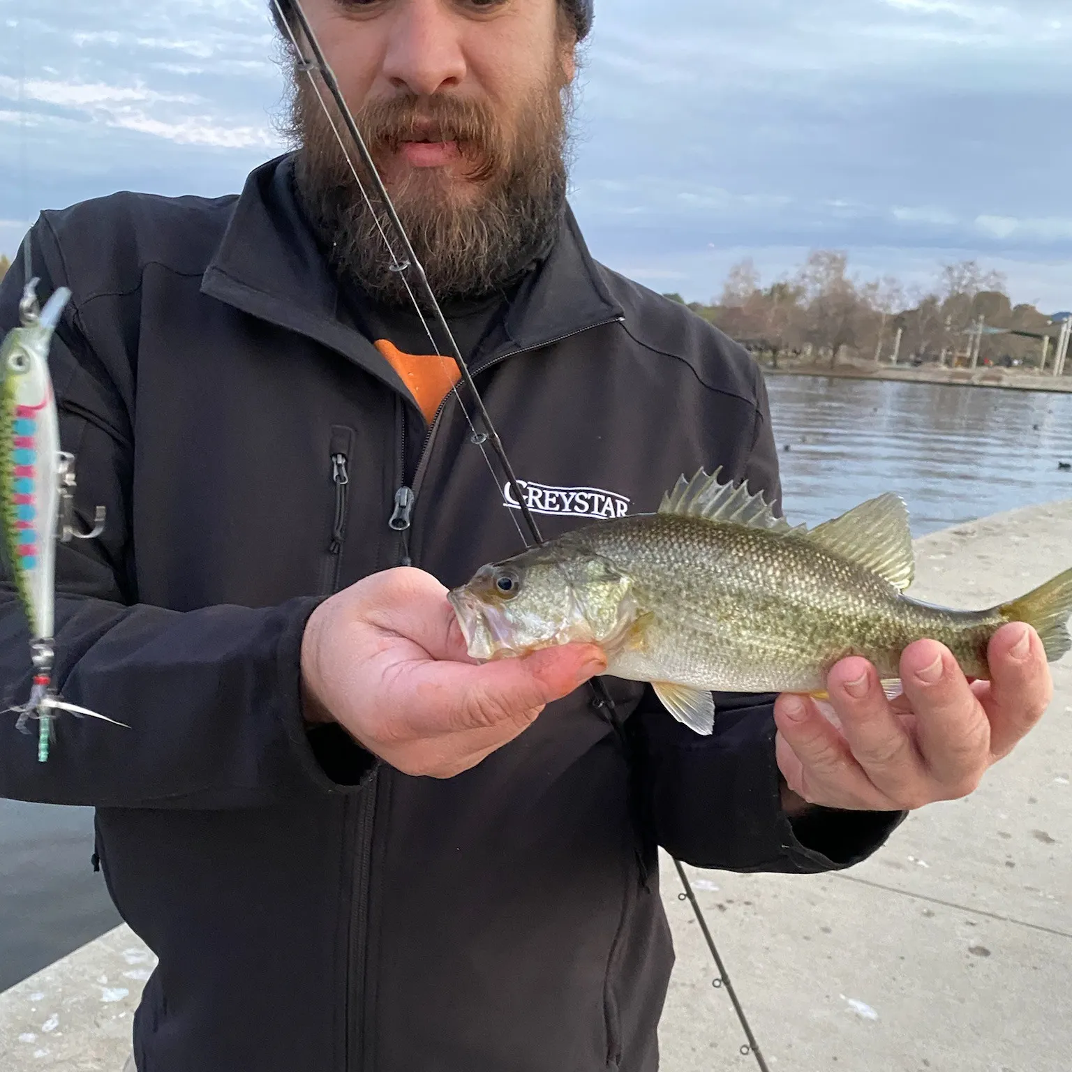 ᐅ Chatsworth Creek fishing reports🎣• Calabasas, CA (United States) fishing