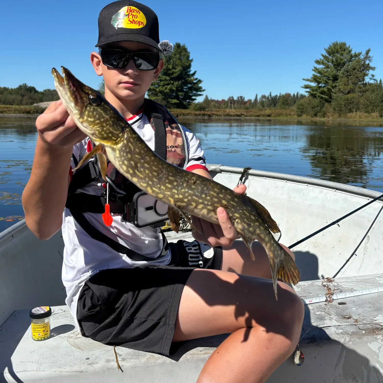 Northern pike caught on Fishbrain