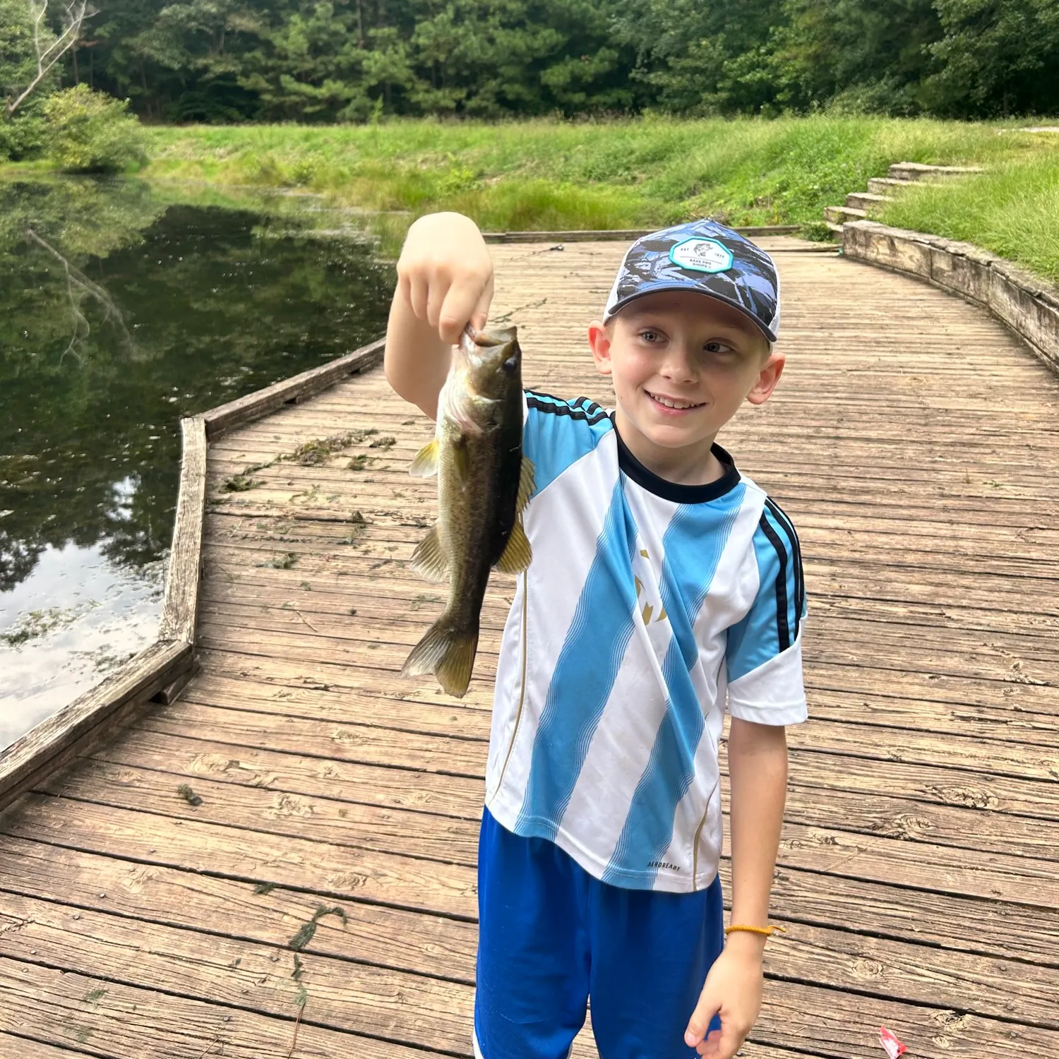 Largemouth bass caught on Fishbrain