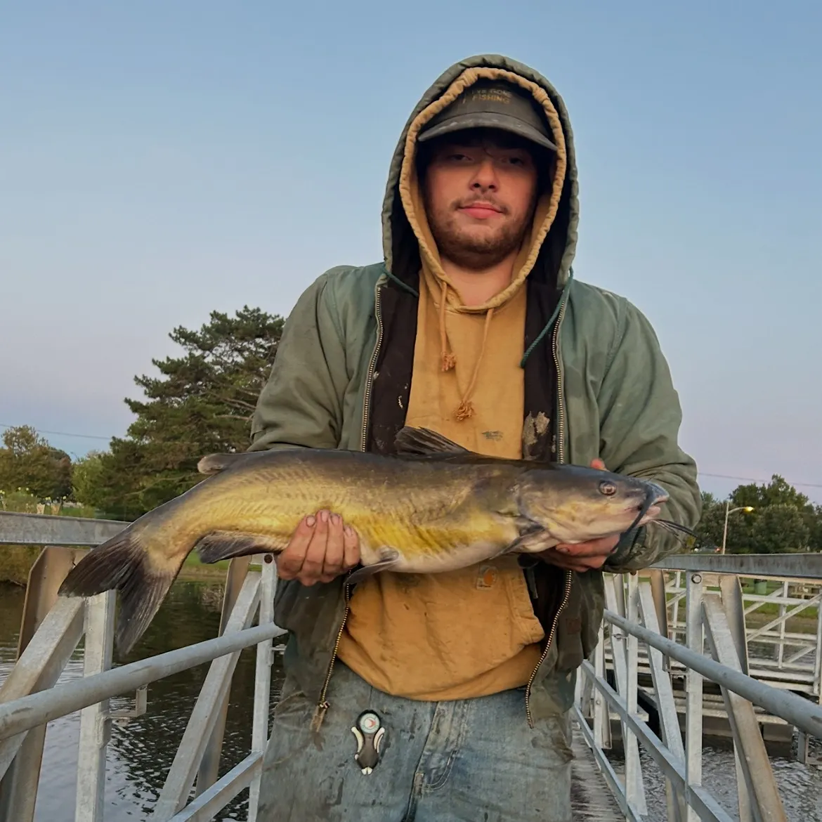 Channel catfish caught on Fishbrain