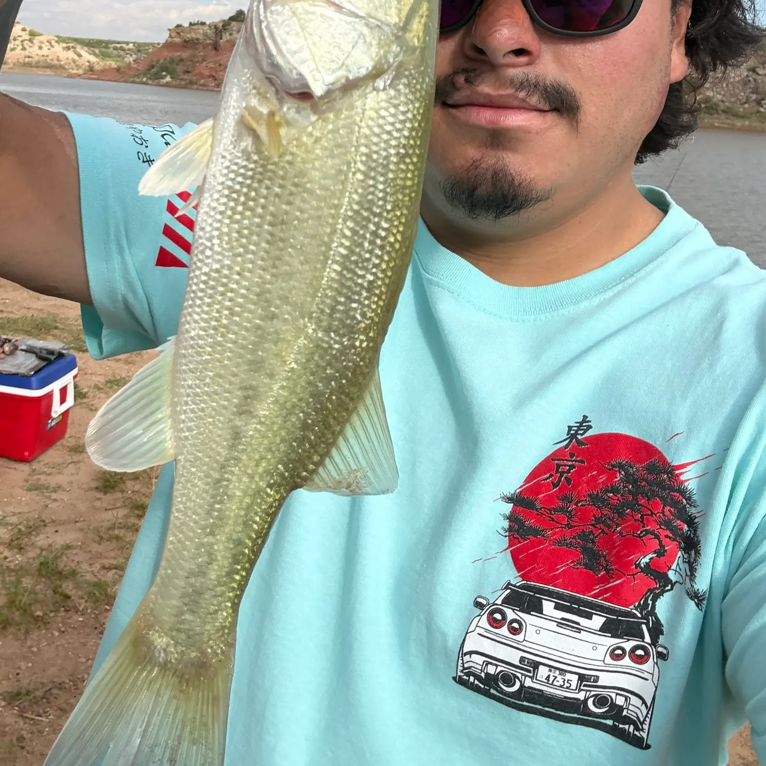 Largemouth bass caught on Fishbrain