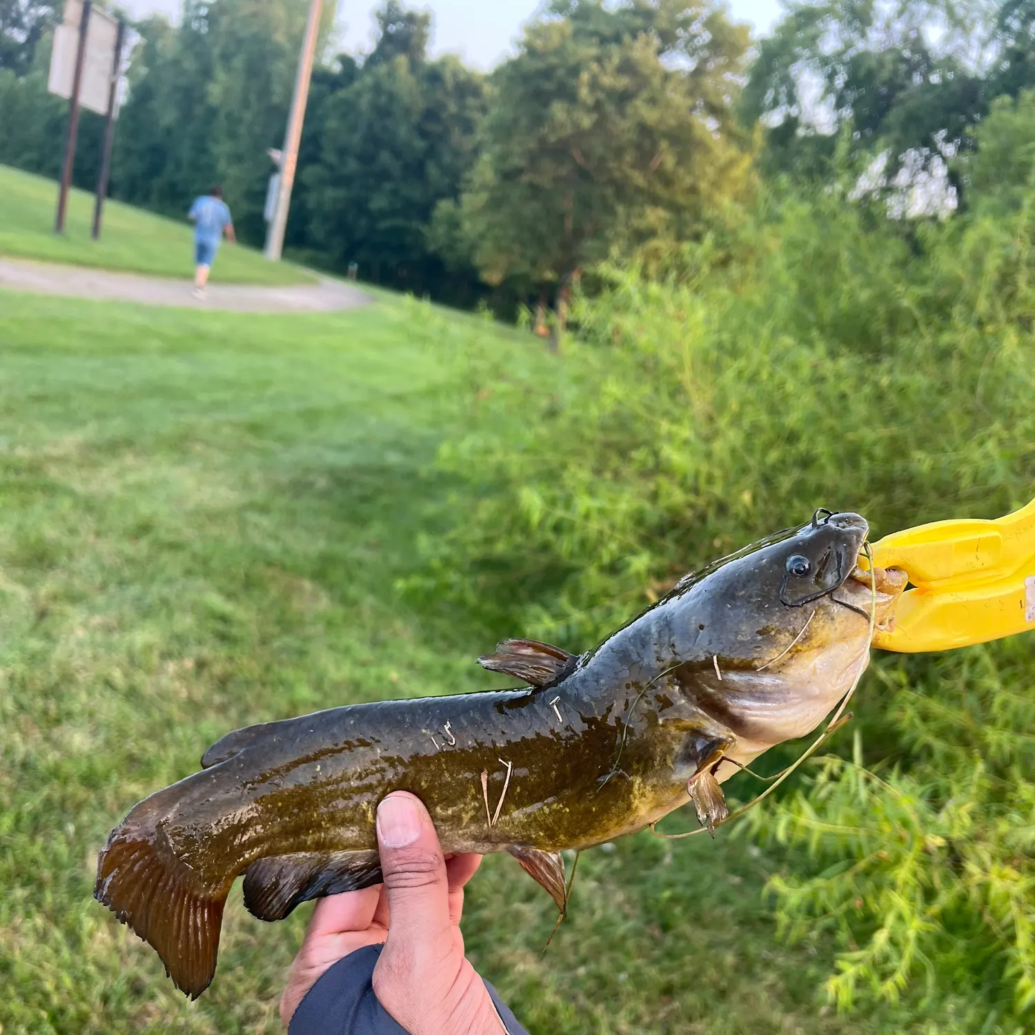 catch