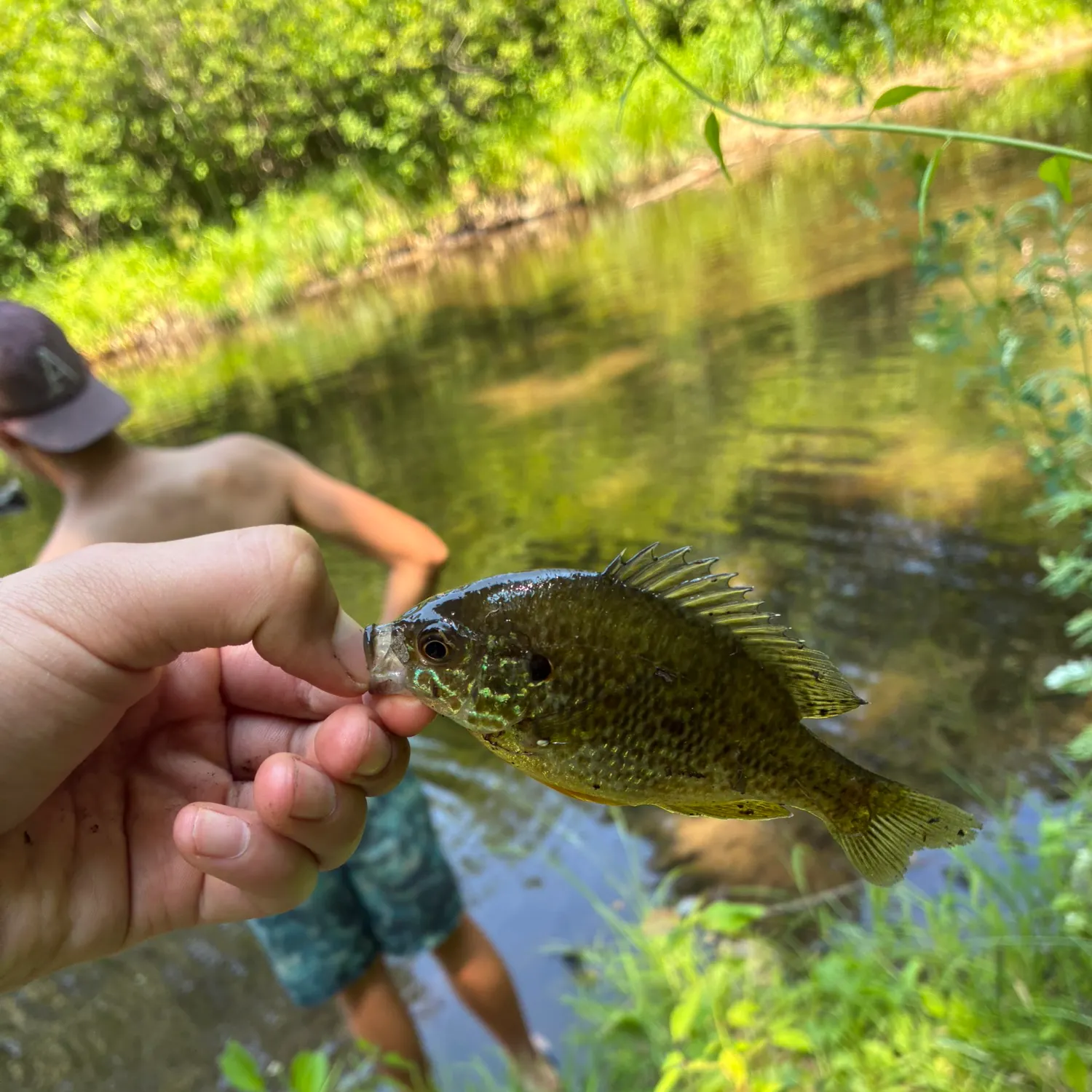 catch