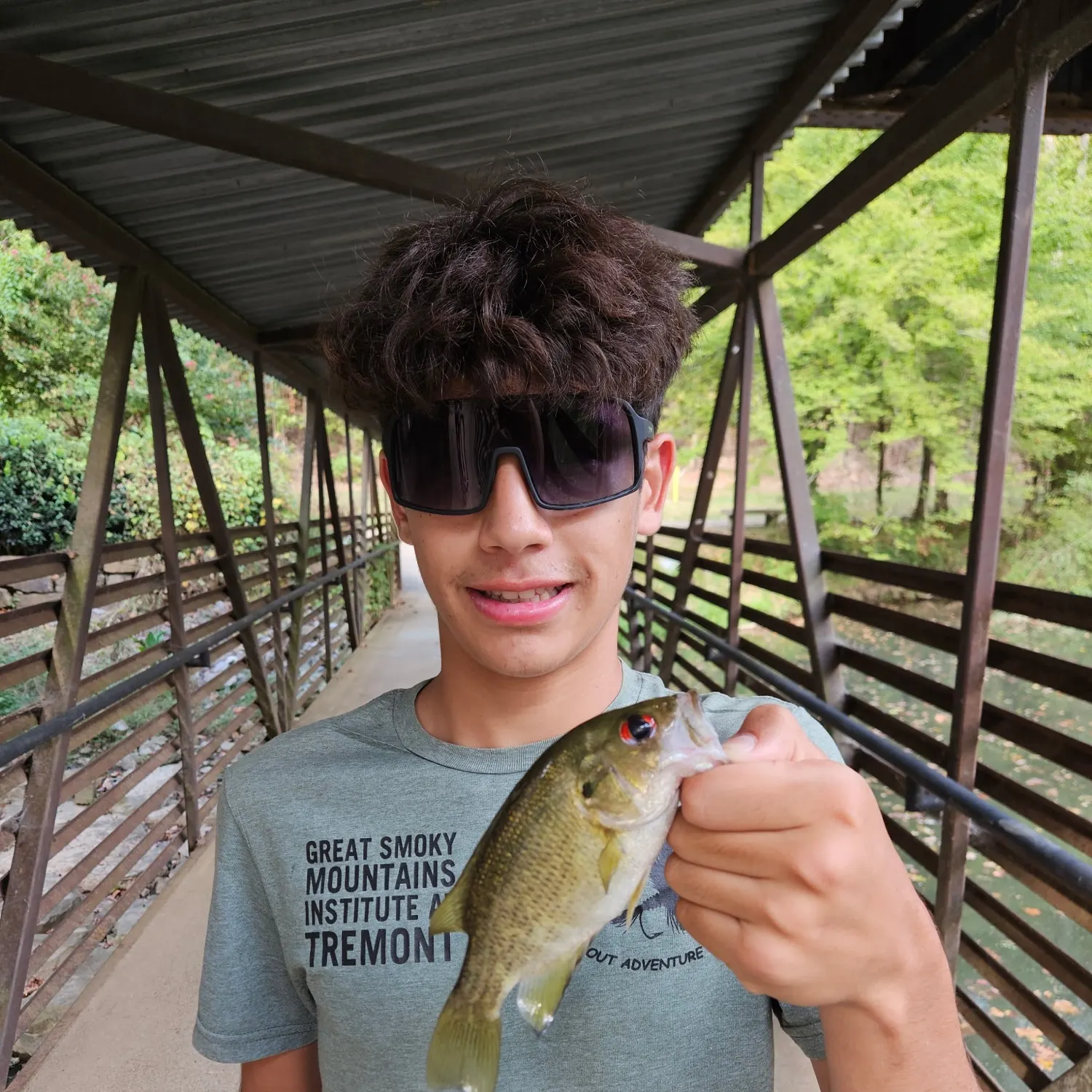 Rock bass caught on Fishbrain