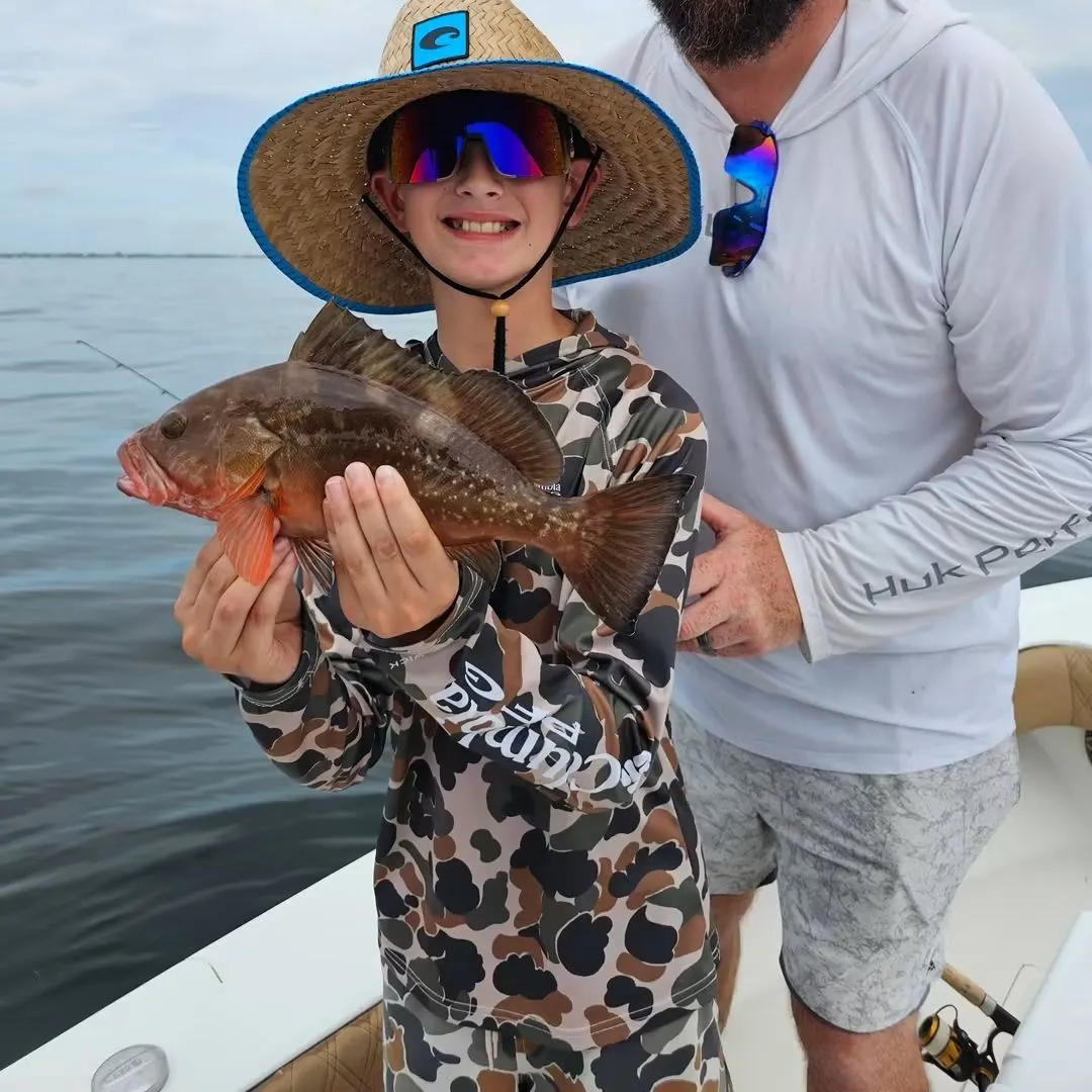 Red grouper caught on Fishbrain