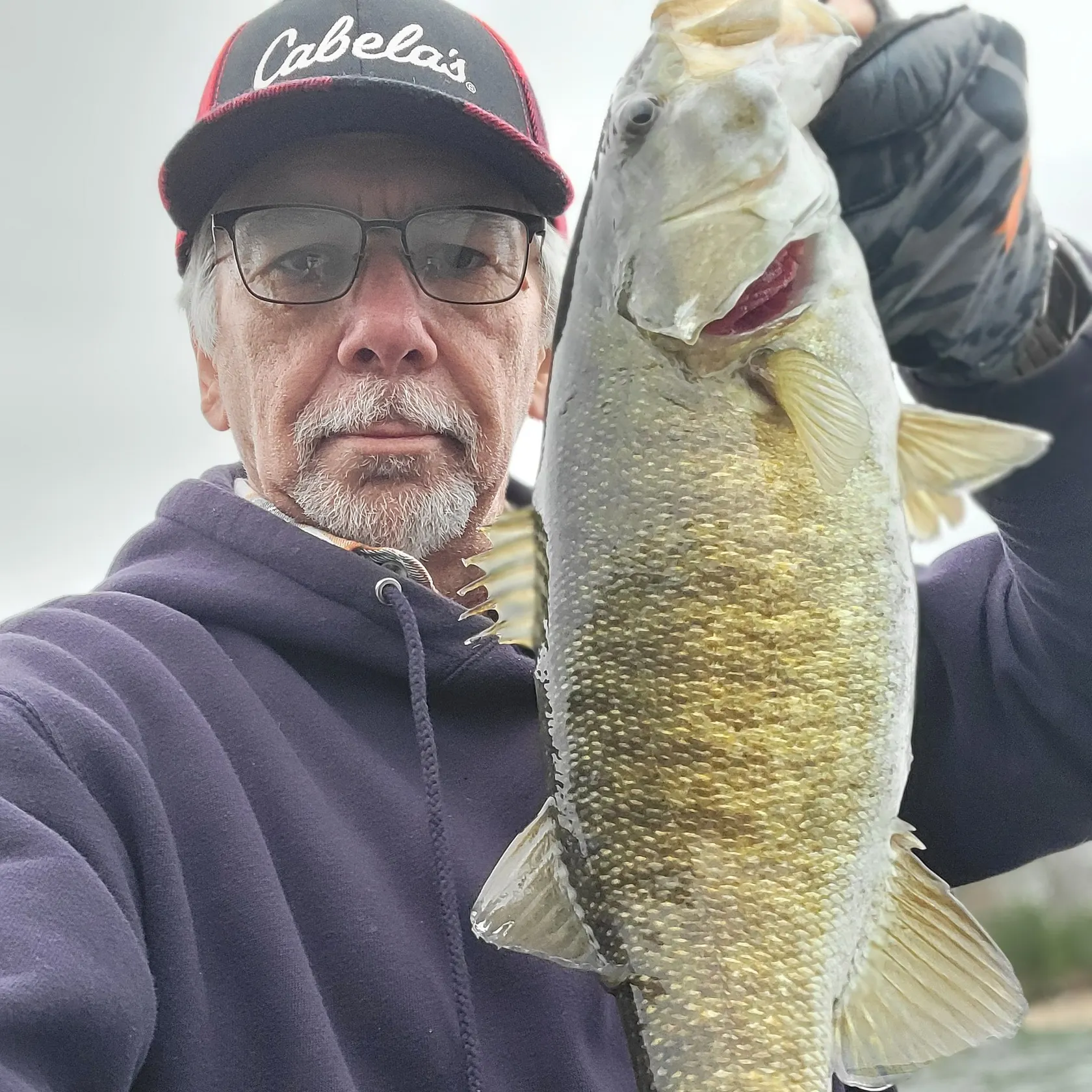 The most recent Smallmouth bass catches on Fishbrain