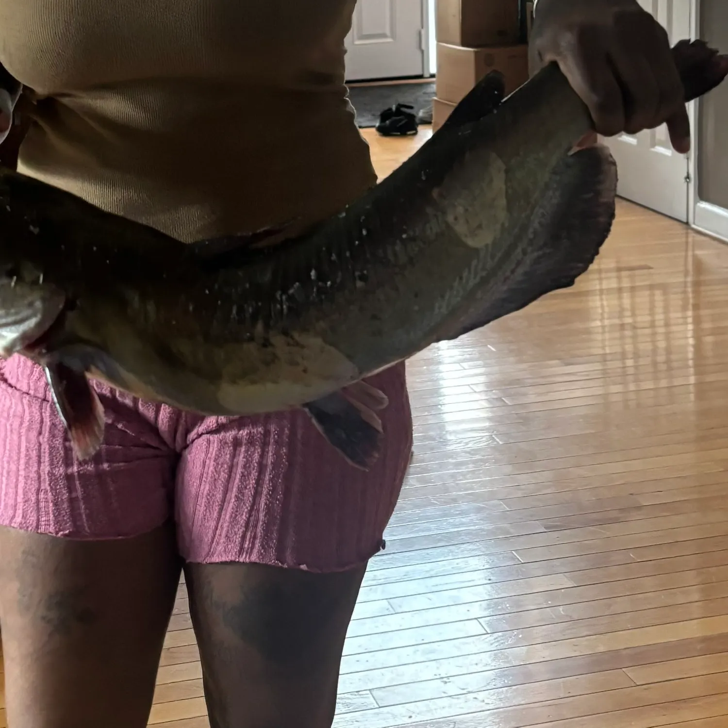 catch