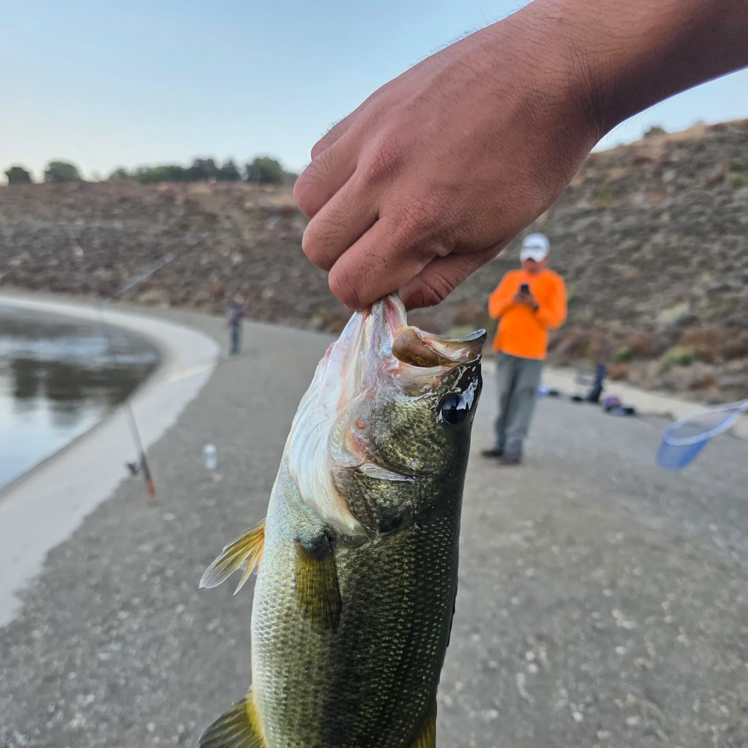 catch
