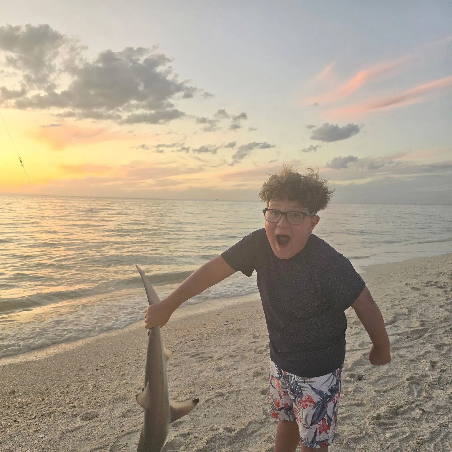 The most recent Blacktip reef shark catches on Fishbrain