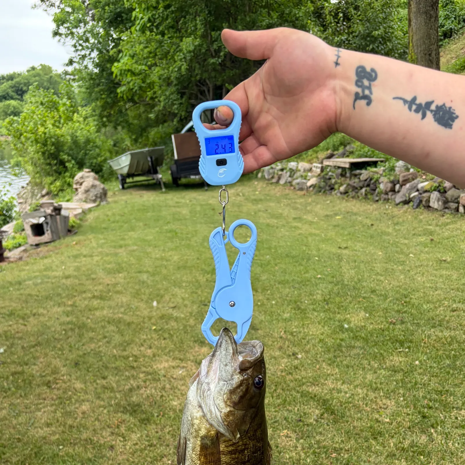recently logged catches