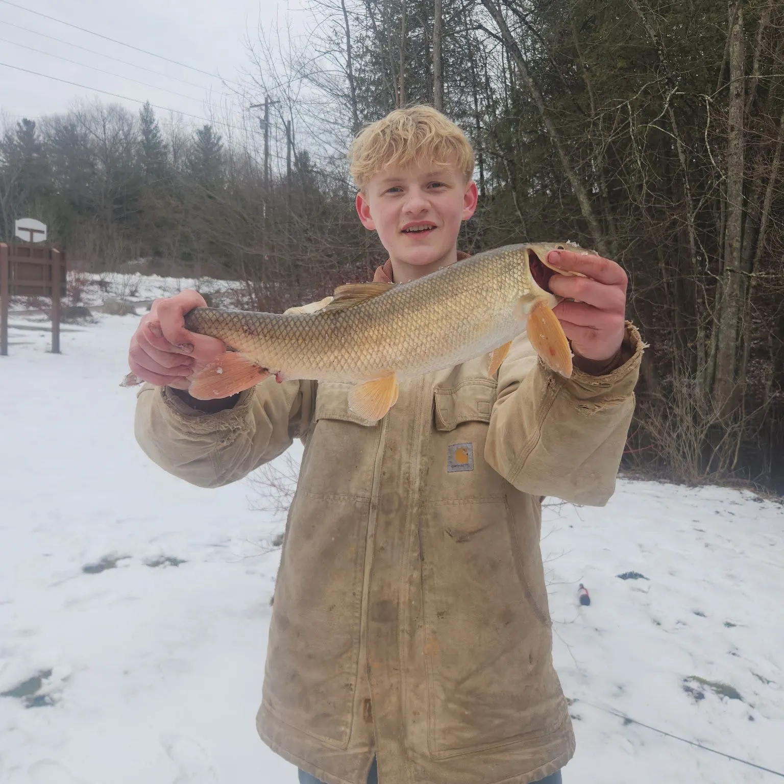 The most recent White sucker catches on Fishbrain