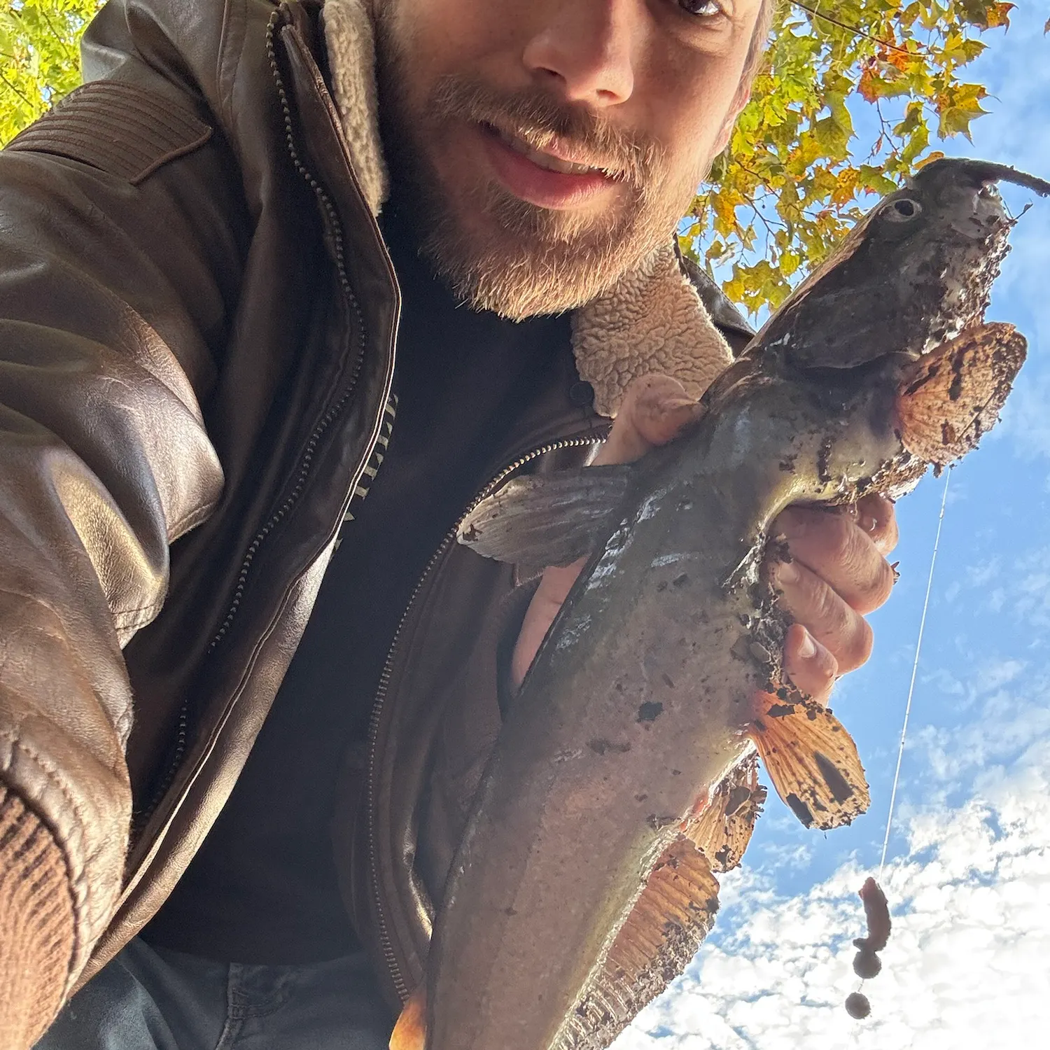 Channel catfish caught on Fishbrain