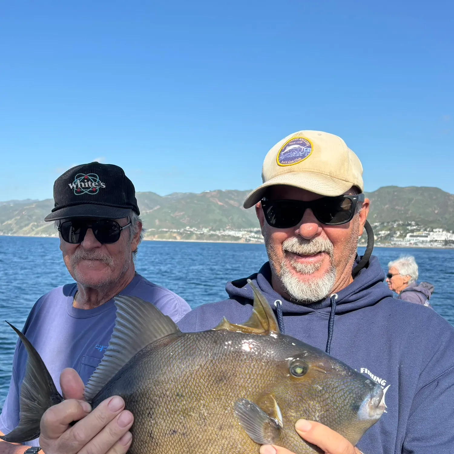 The most recent Finescale triggerfish catches on Fishbrain