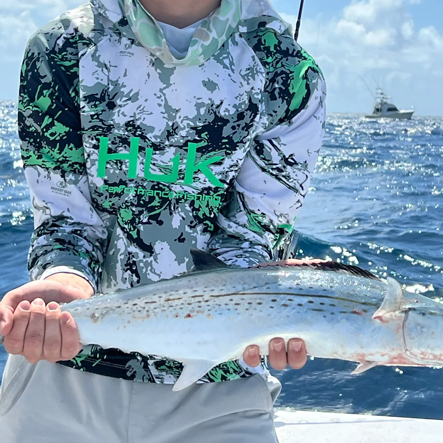 The most recent Cero mackerel catches on Fishbrain
