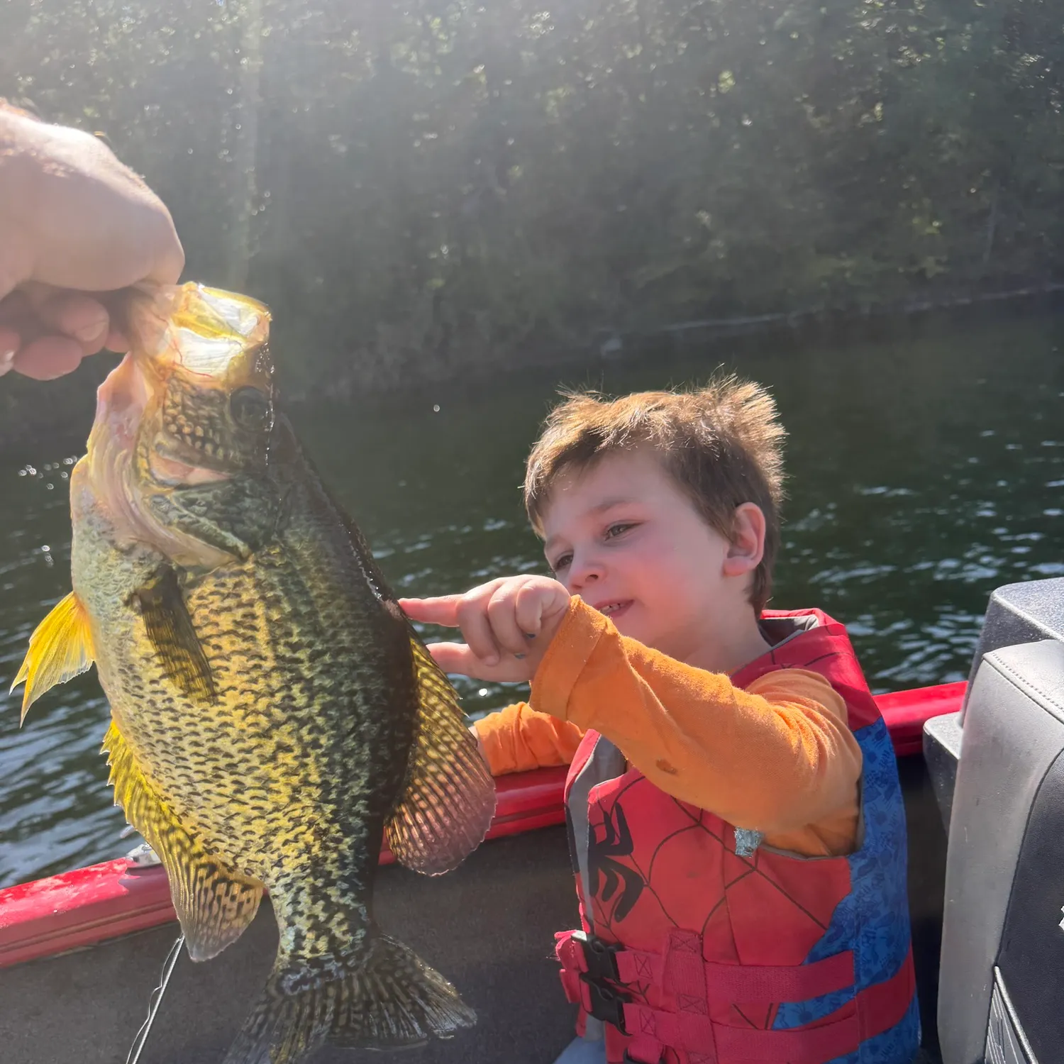 Black crappie caught on Fishbrain