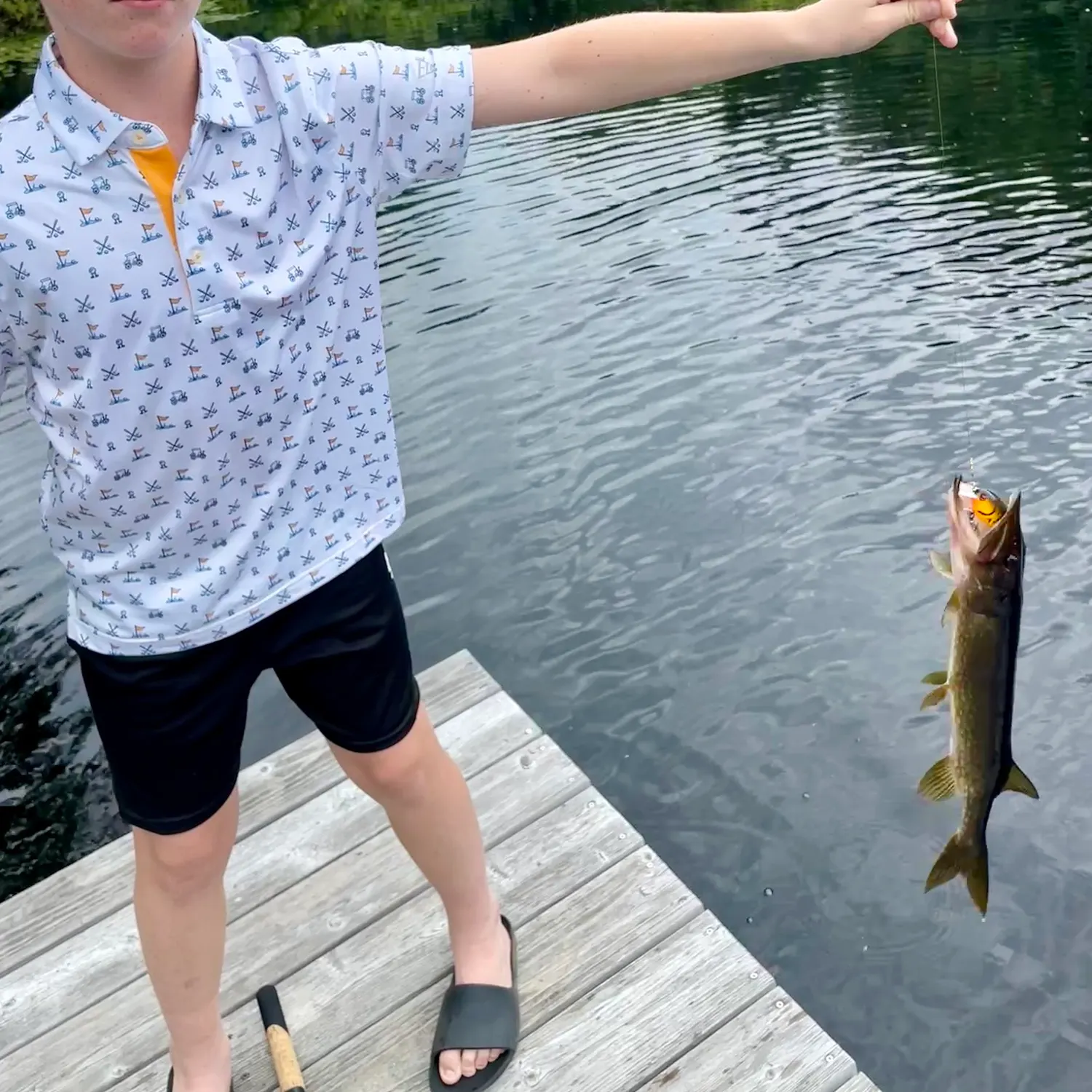 Chain pickerel caught on Fishbrain