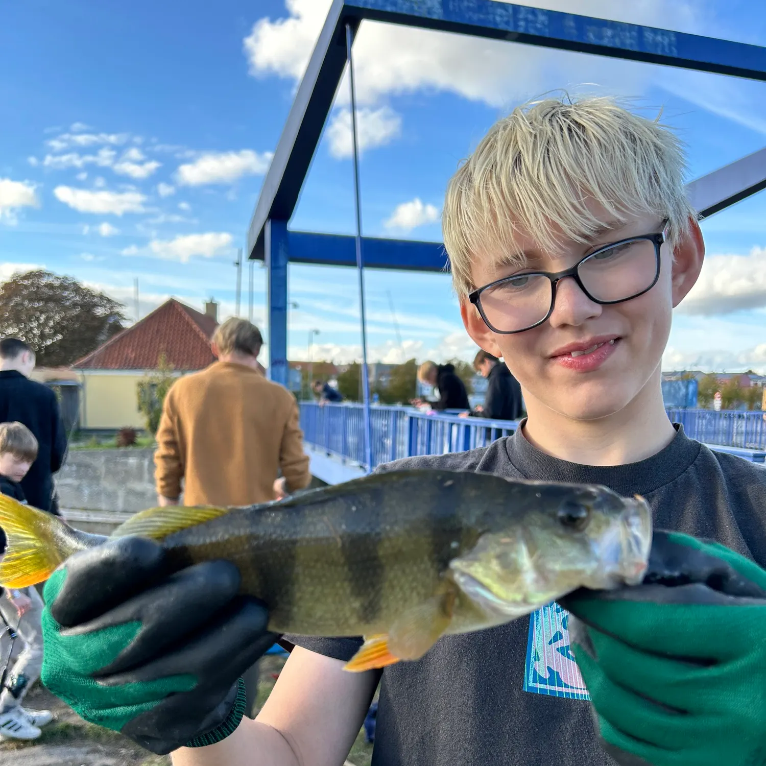 European perch caught on Fishbrain