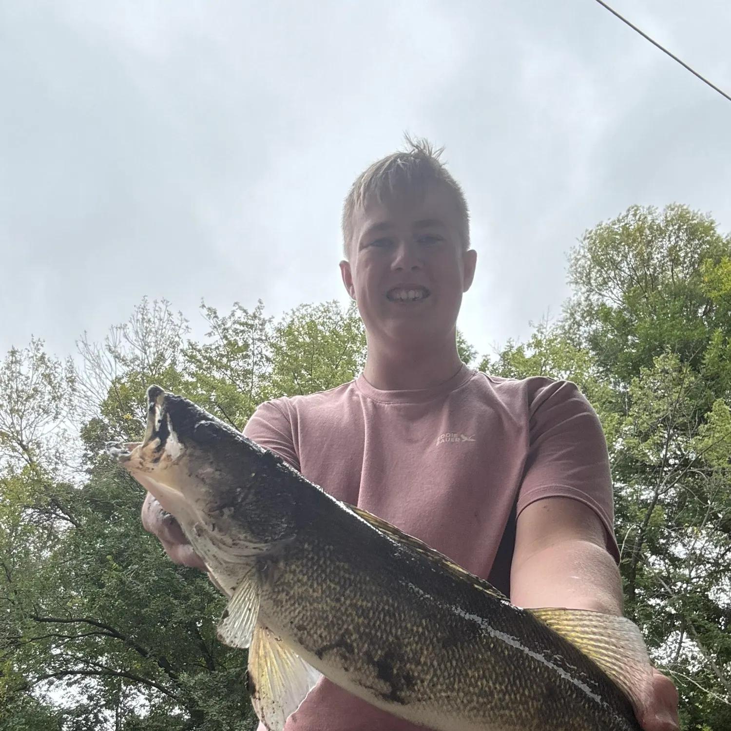 Walleye caught on Fishbrain