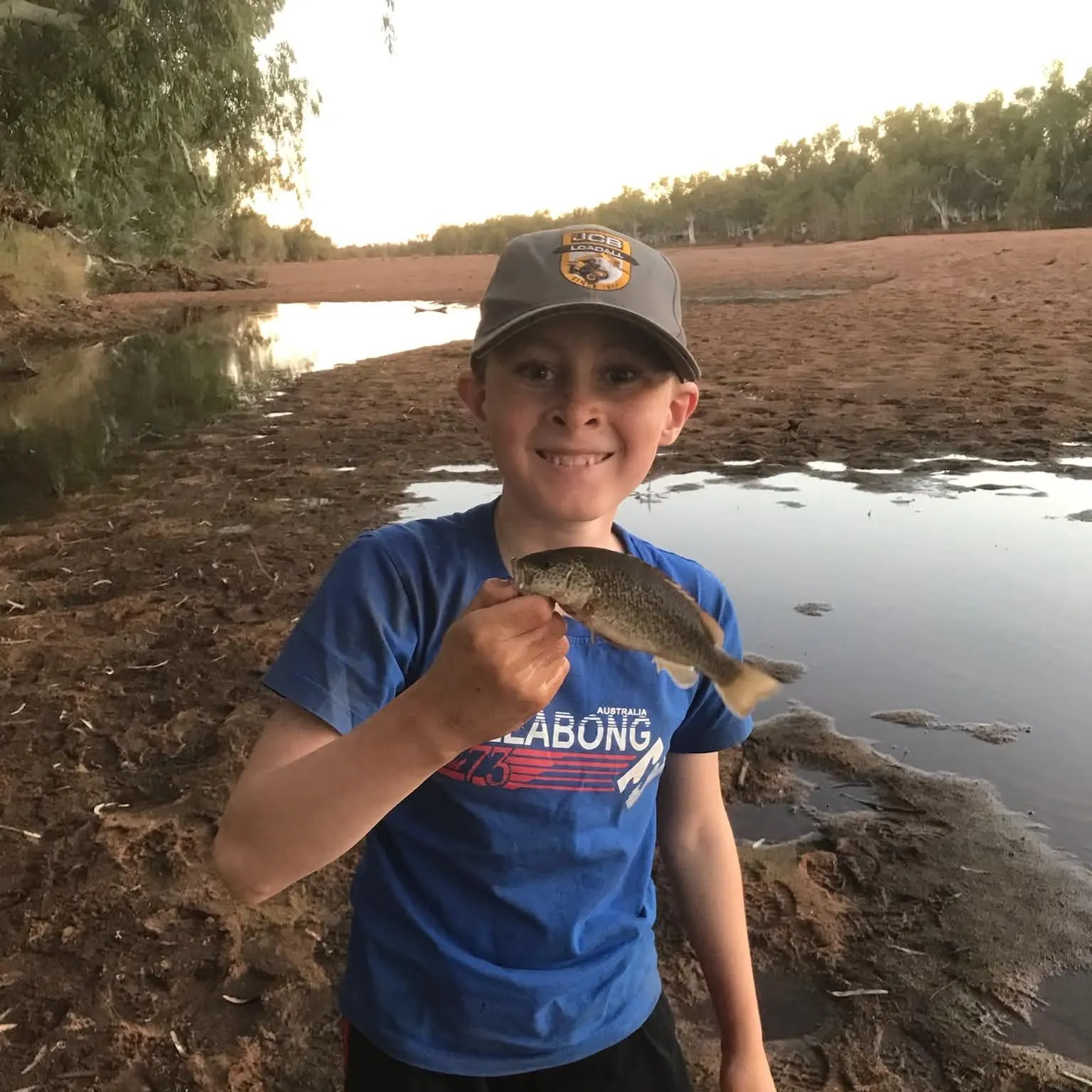 The most recent Spangled perch catches on Fishbrain
