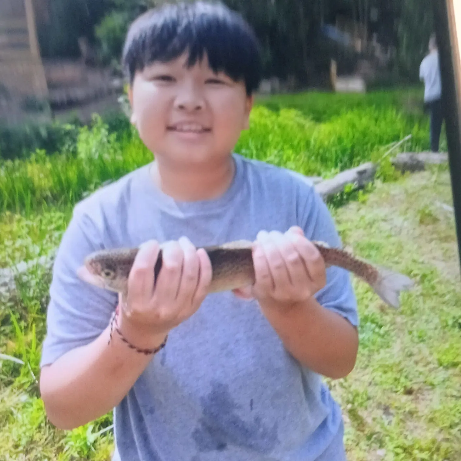 Rainbow trout caught on Fishbrain