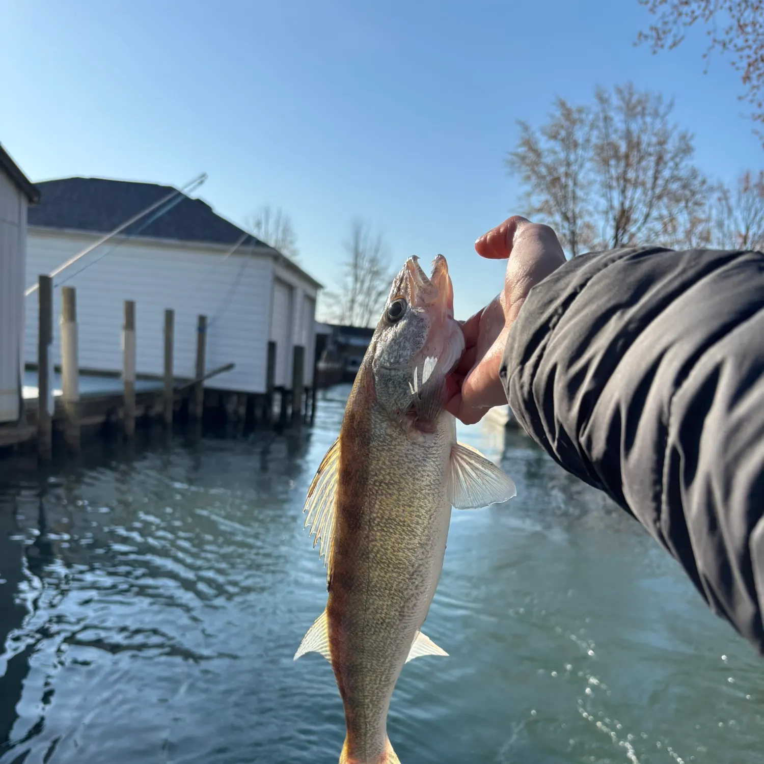 catch