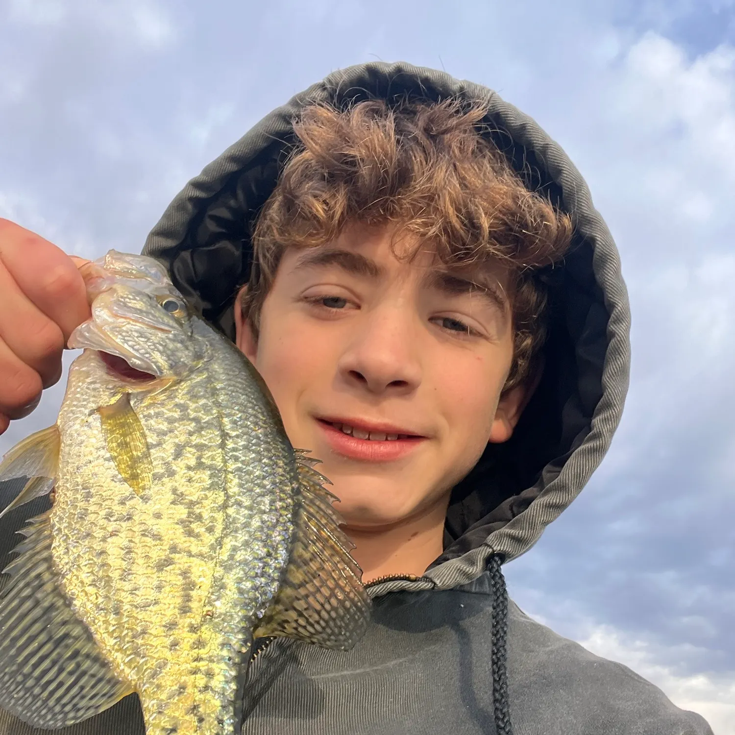 Black crappie caught on Fishbrain