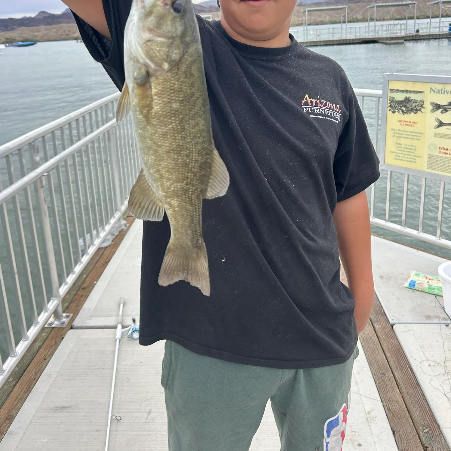 Smallmouth bass caught on Fishbrain