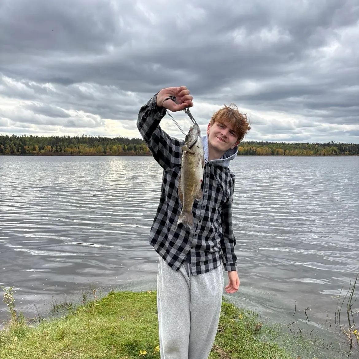 Smallmouth bass caught on Fishbrain