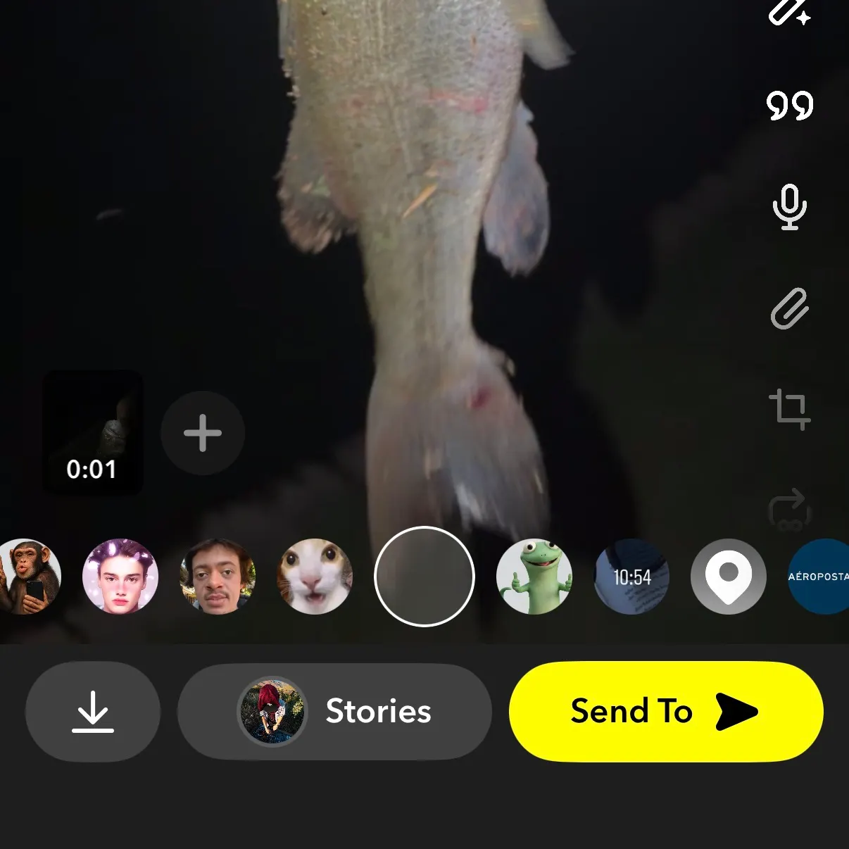 recently logged catches