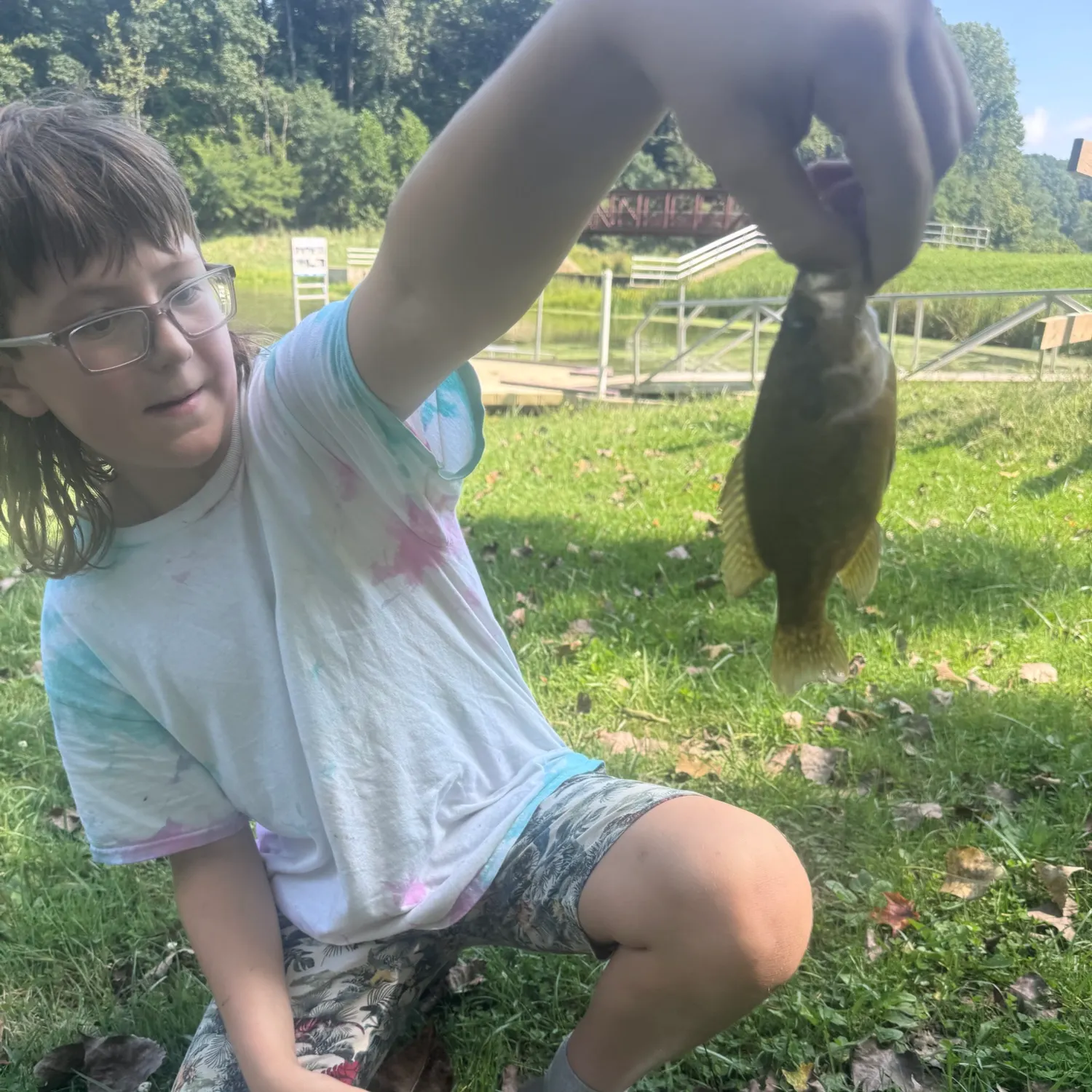 Pumpkingill hybrid caught on Fishbrain