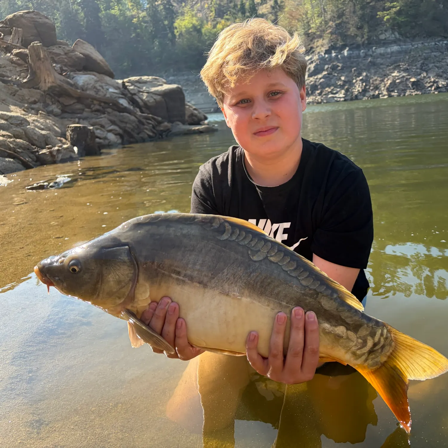 Mirror carp caught on Fishbrain