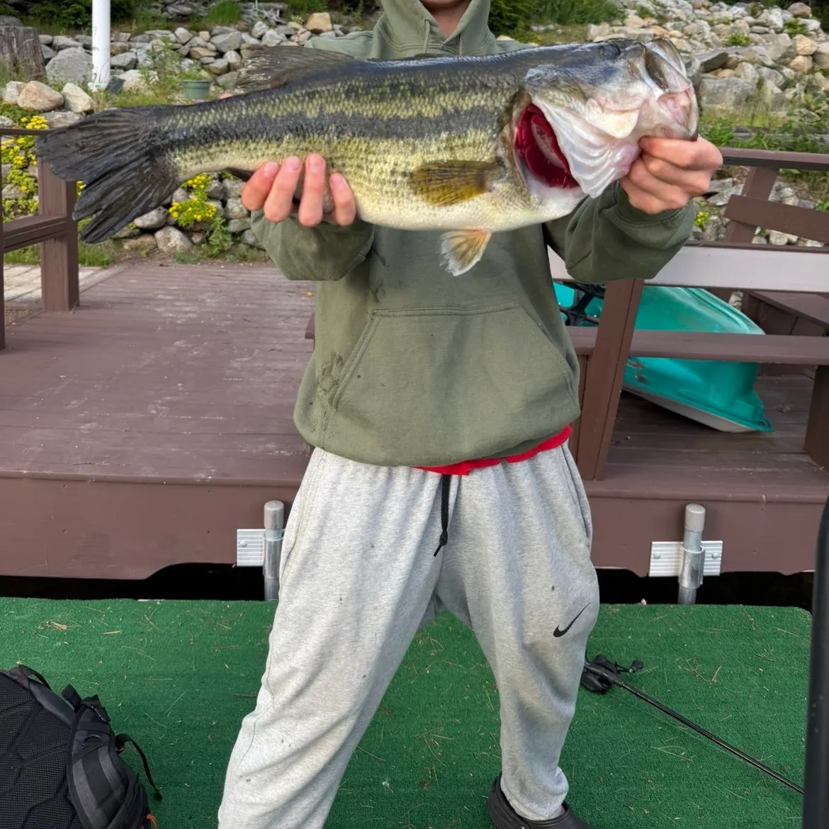 Largemouth bass caught on Fishbrain