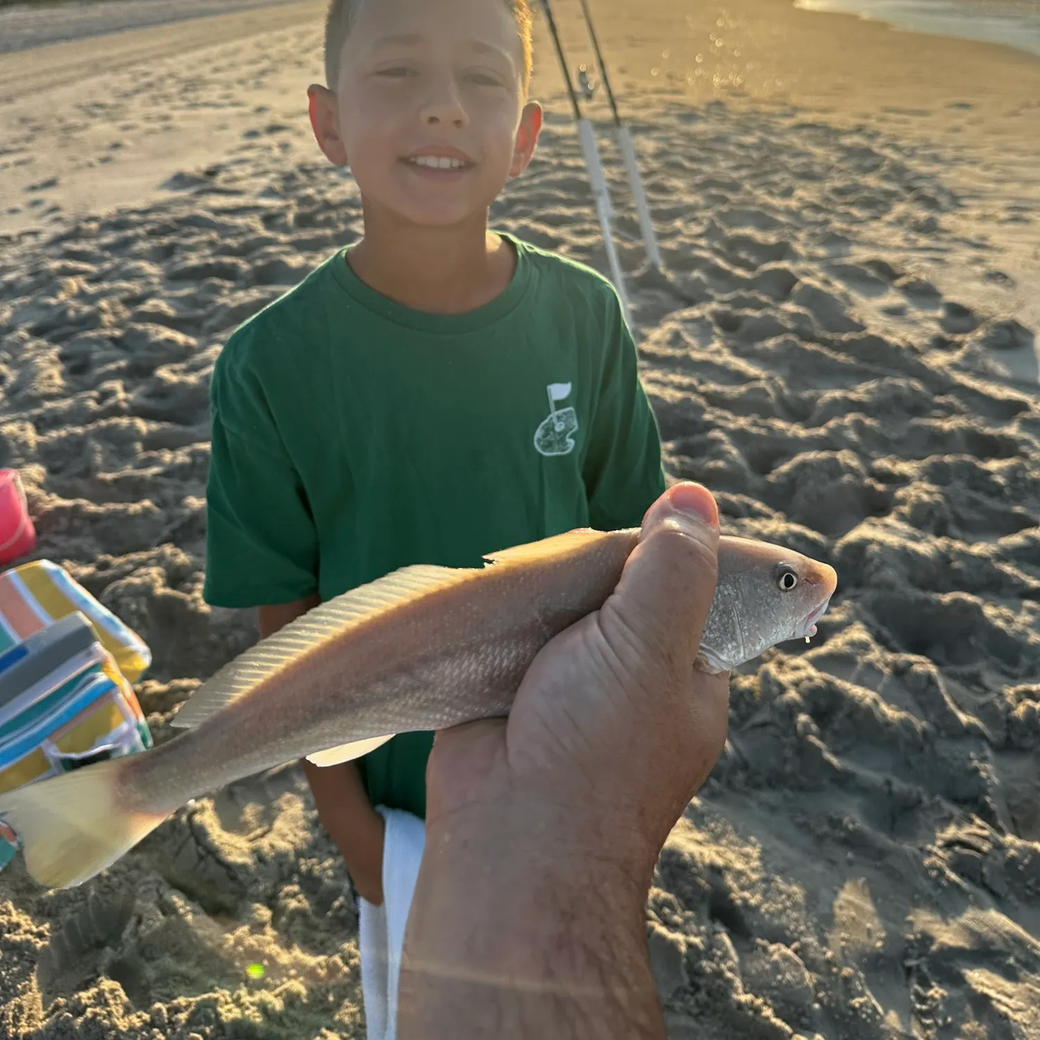 Atlantic croaker caught on Fishbrain
