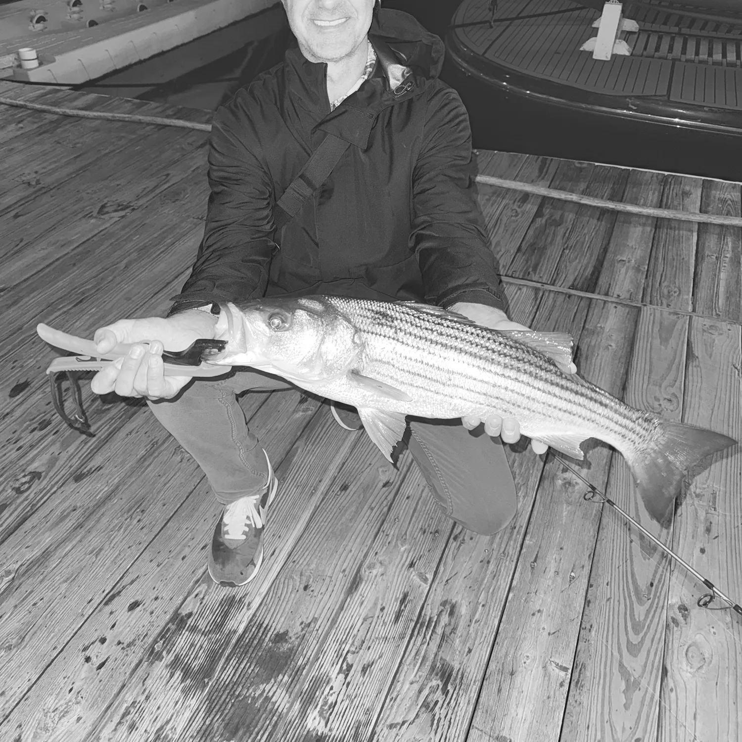 Striped bass caught on Fishbrain