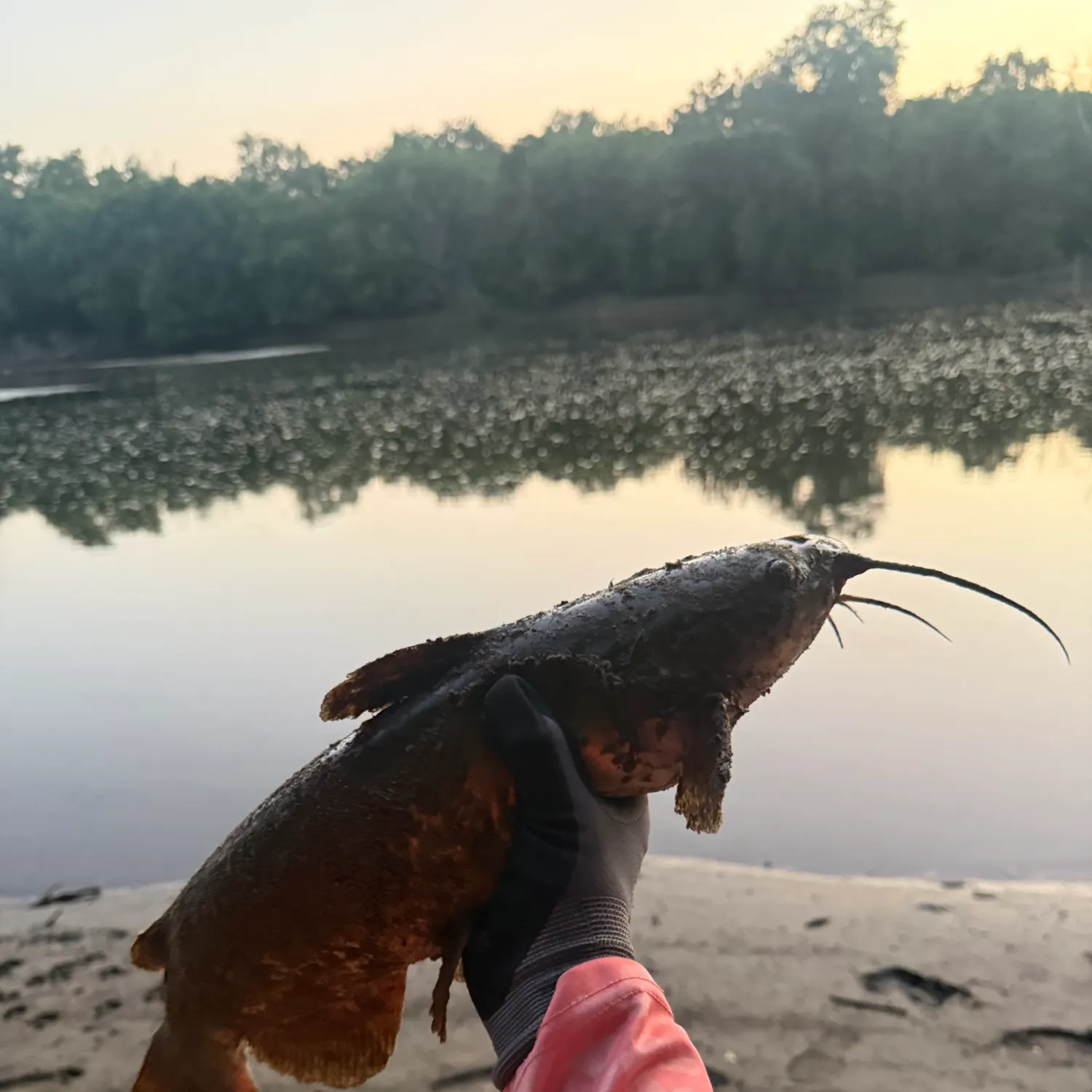 catch