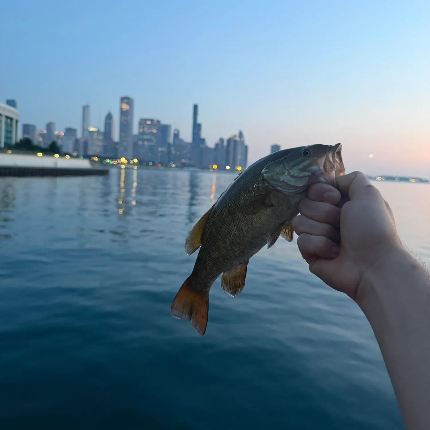 catch