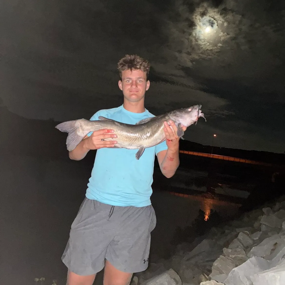 Channel catfish caught on Fishbrain