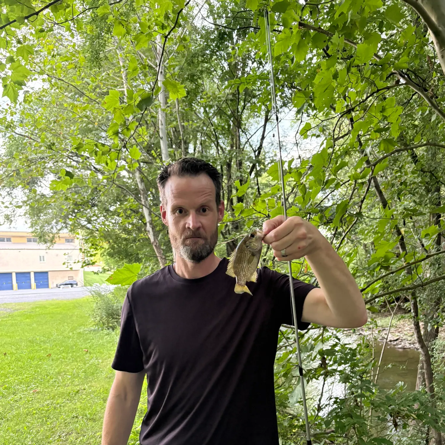 Rock bass caught on Fishbrain