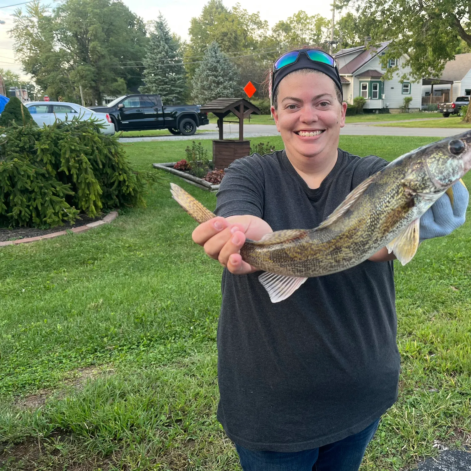 Saugeye caught on Fishbrain