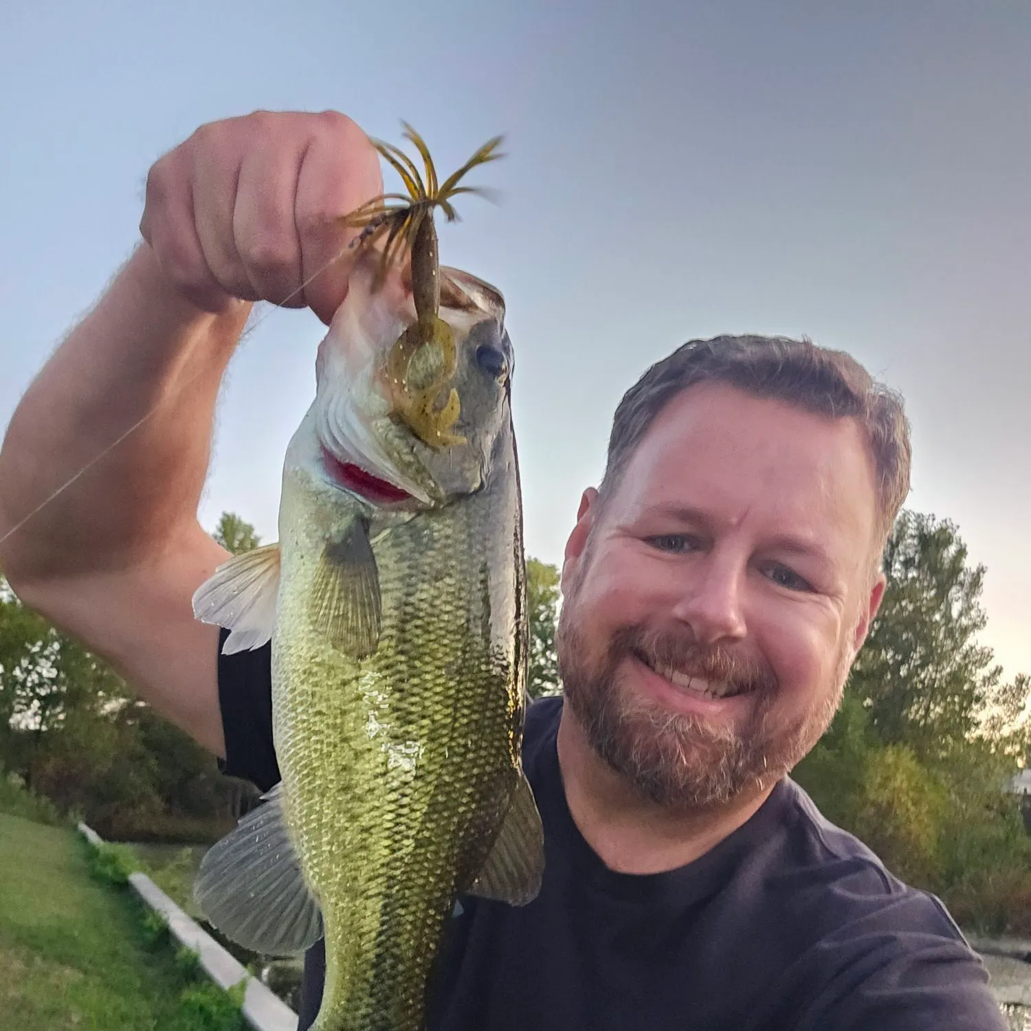 Largemouth bass caught on Fishbrain