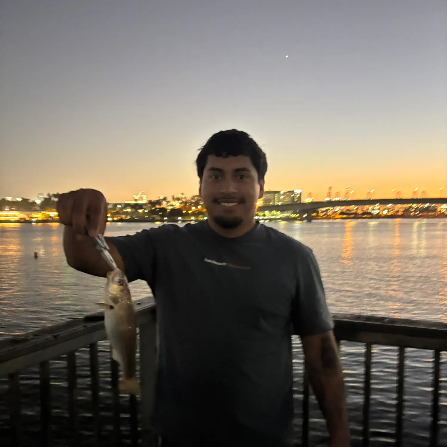 The most recent White croaker catches on Fishbrain