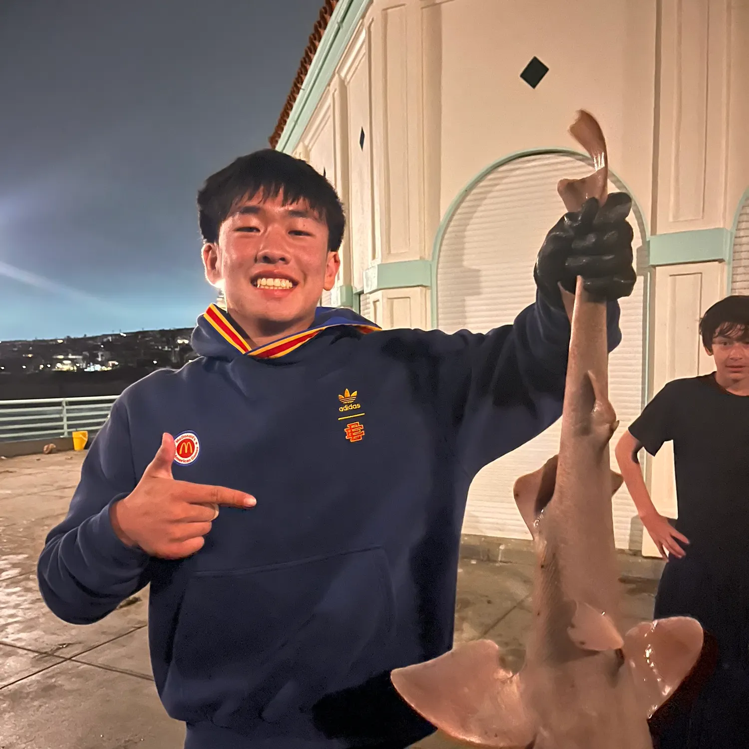 The most recent Horn shark catches on Fishbrain