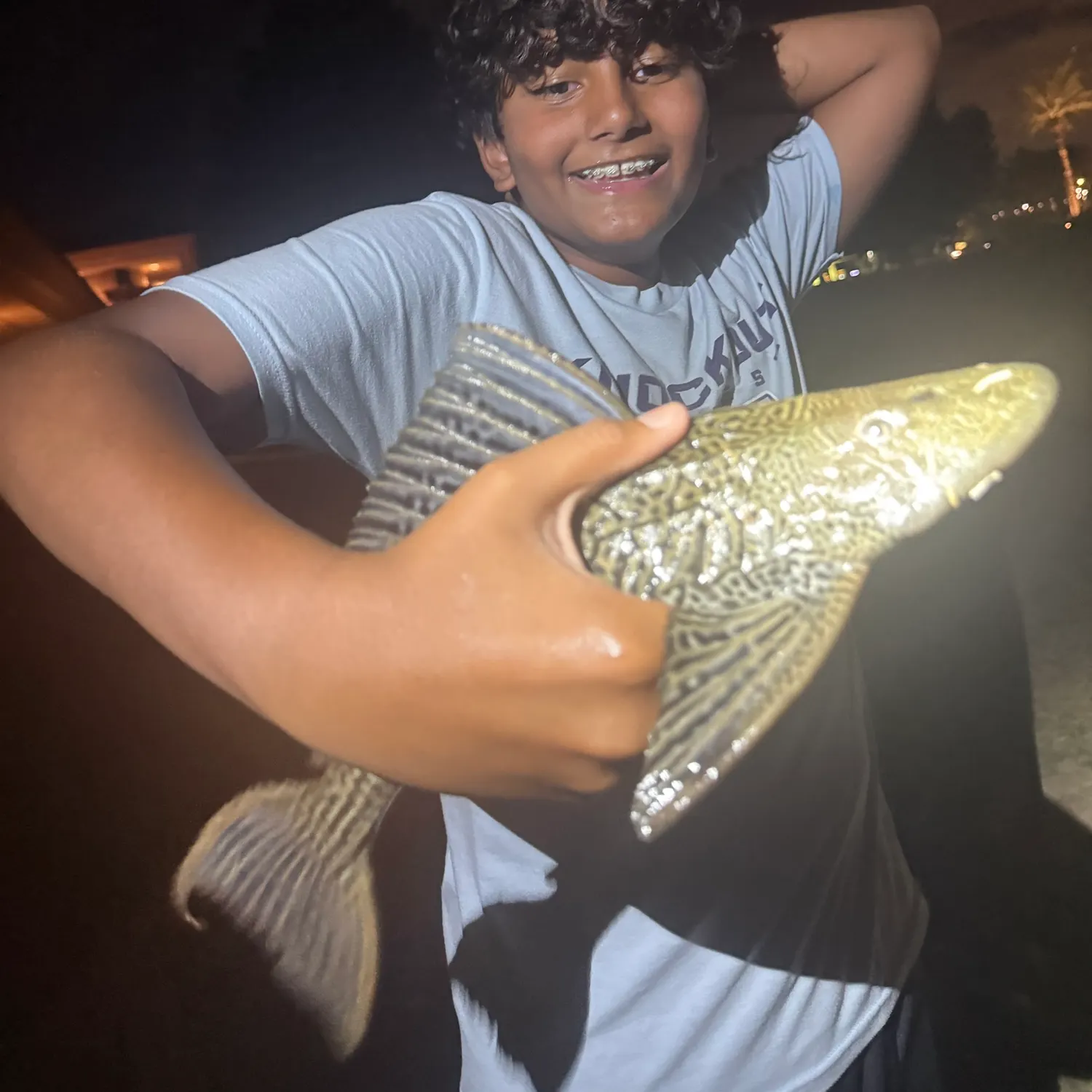 The most recent Suckermouth catfish catches on Fishbrain