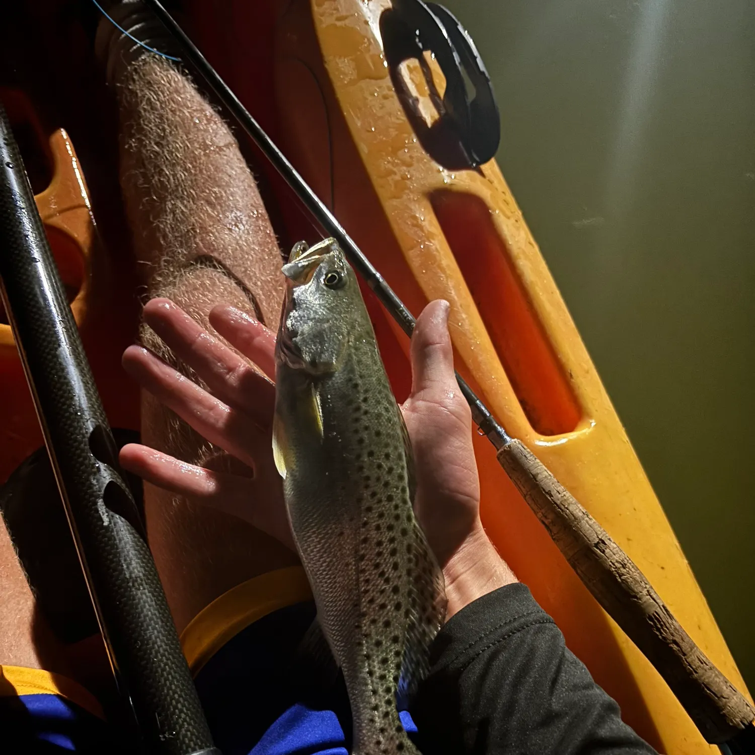 Spotted seatrout caught on Fishbrain