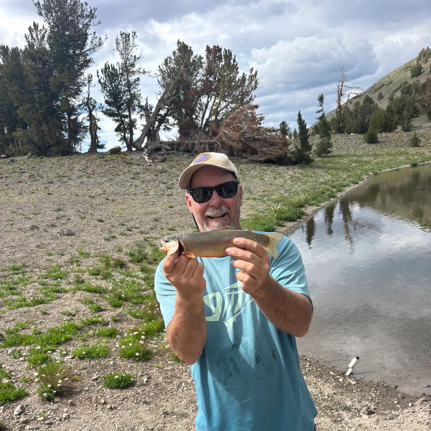 The most recent Golden trout catches on Fishbrain